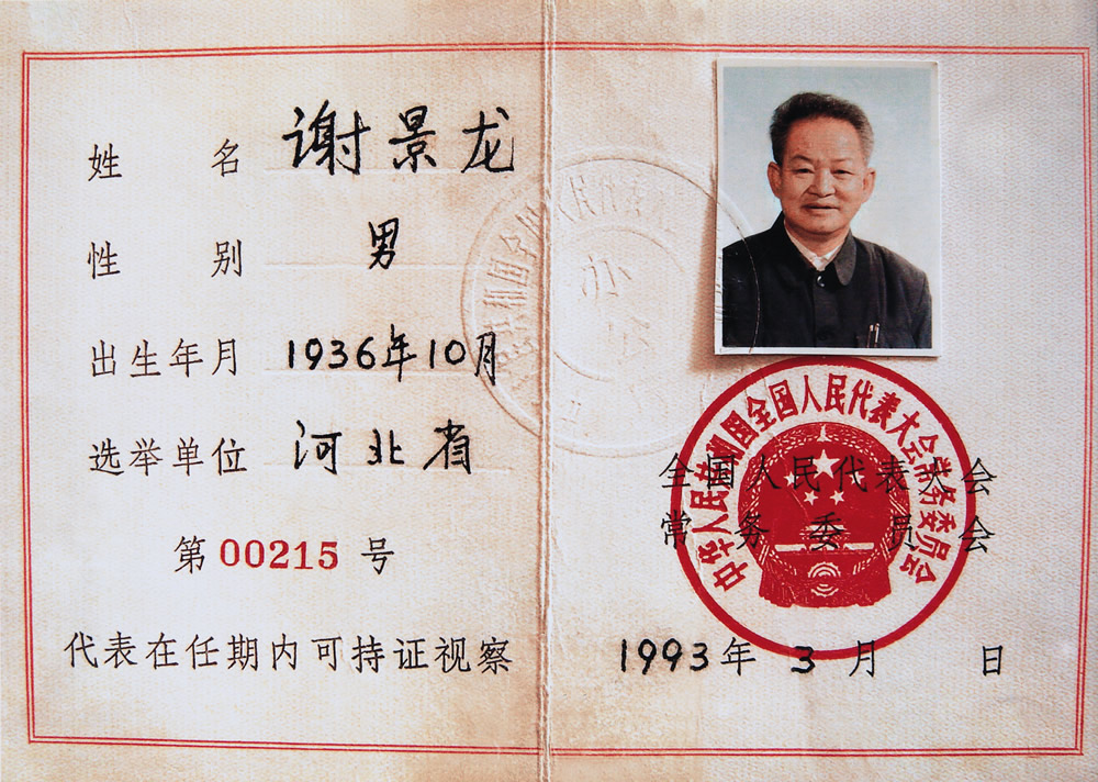 1993年全国人大代表.jpg