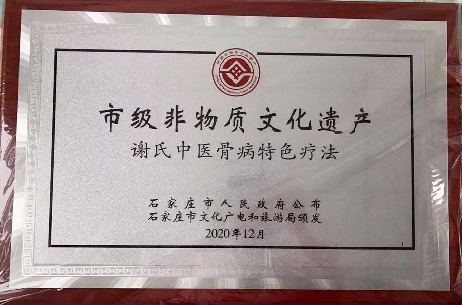 2020年非物质文化遗产代表性传承人谢文霞.jpg